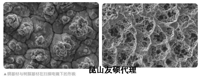 长春蔡司长春扫描电镜